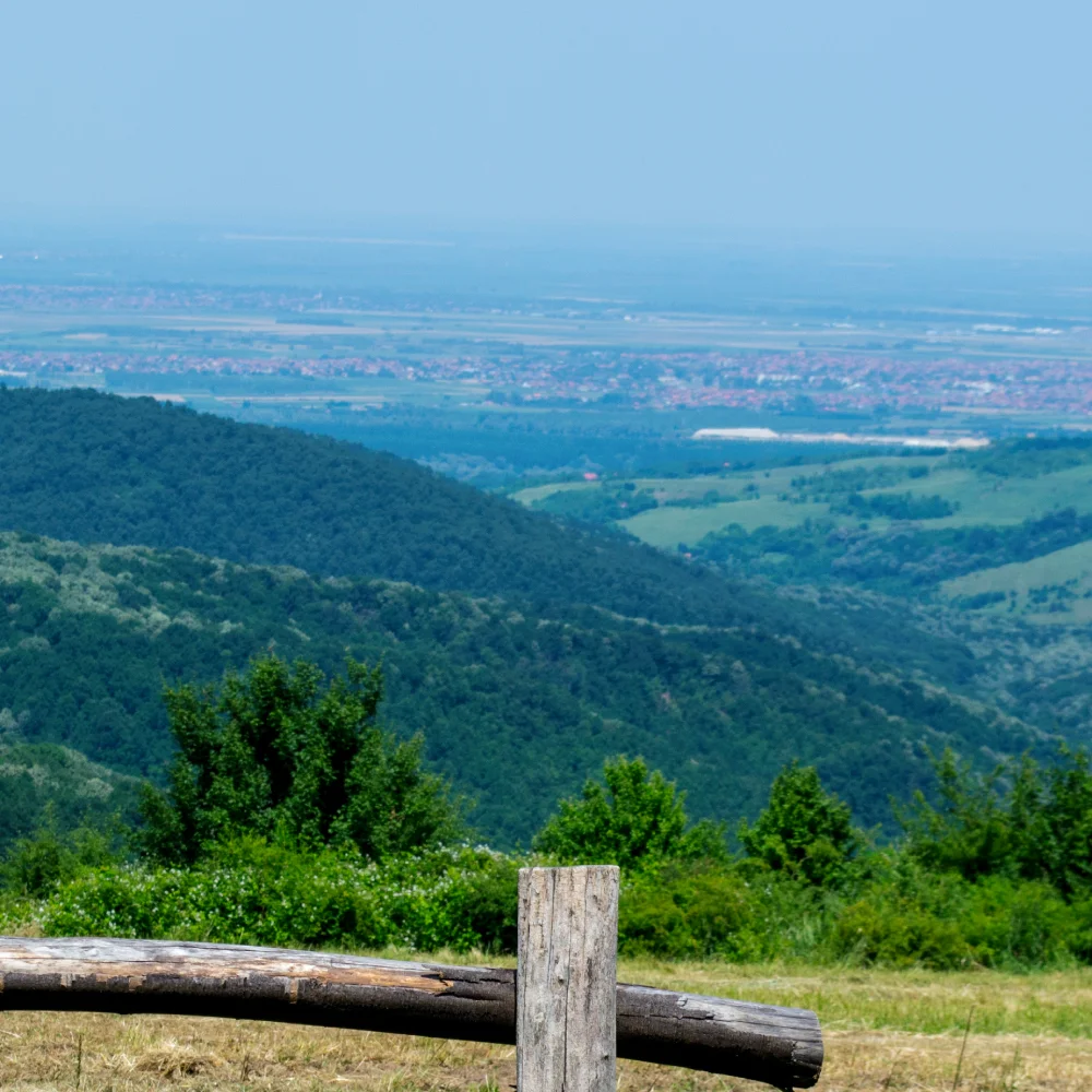 Na Fruškoj gori sa pogledoma na Novi Sad Na Fruškoj gori sa pogledoma na Novi Sad